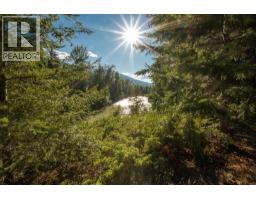 2460 Pye Road Road, Clearwater, BC V0E1N1 Photo 37