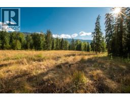 2460 Pye Road Road, Clearwater, BC V0E1N1 Photo 38