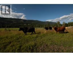 2460 Pye Road Road, Clearwater, BC V0E1N1 Photo 33