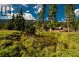 2460 Pye Road Road, Clearwater, BC V0E1N1 Photo 44