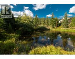 2460 Pye Road Road, Clearwater, BC V0E1N1 Photo 41