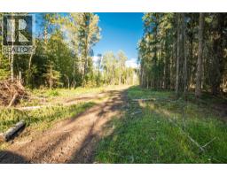 2460 Pye Road Road, Clearwater, BC V0E1N1 Photo 36