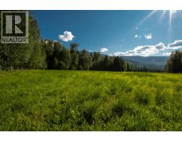 2460 Pye Road Road, Clearwater, BC V0E1N1 Photo 60
