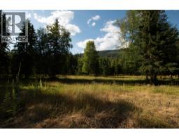 2460 Pye Road Road, Clearwater, BC V0E1N1 Photo 40