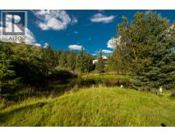 2460 Pye Road Road, Clearwater, BC V0E1N1 Photo 42