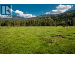 2460 Pye Road Road, Clearwater, BC V0E1N1 Photo 45