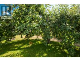 2460 Pye Road Road, Clearwater, BC V0E1N1 Photo 69