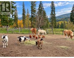 2460 Pye Road Road, Clearwater, BC V0E1N1 Photo 70