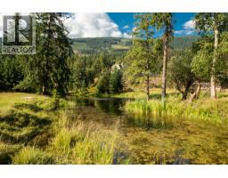 2460 Pye Road Road, Clearwater, BC V0E1N1 Photo 43