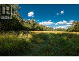 2460 Pye Road Road, Clearwater, BC V0E1N1 Photo 59
