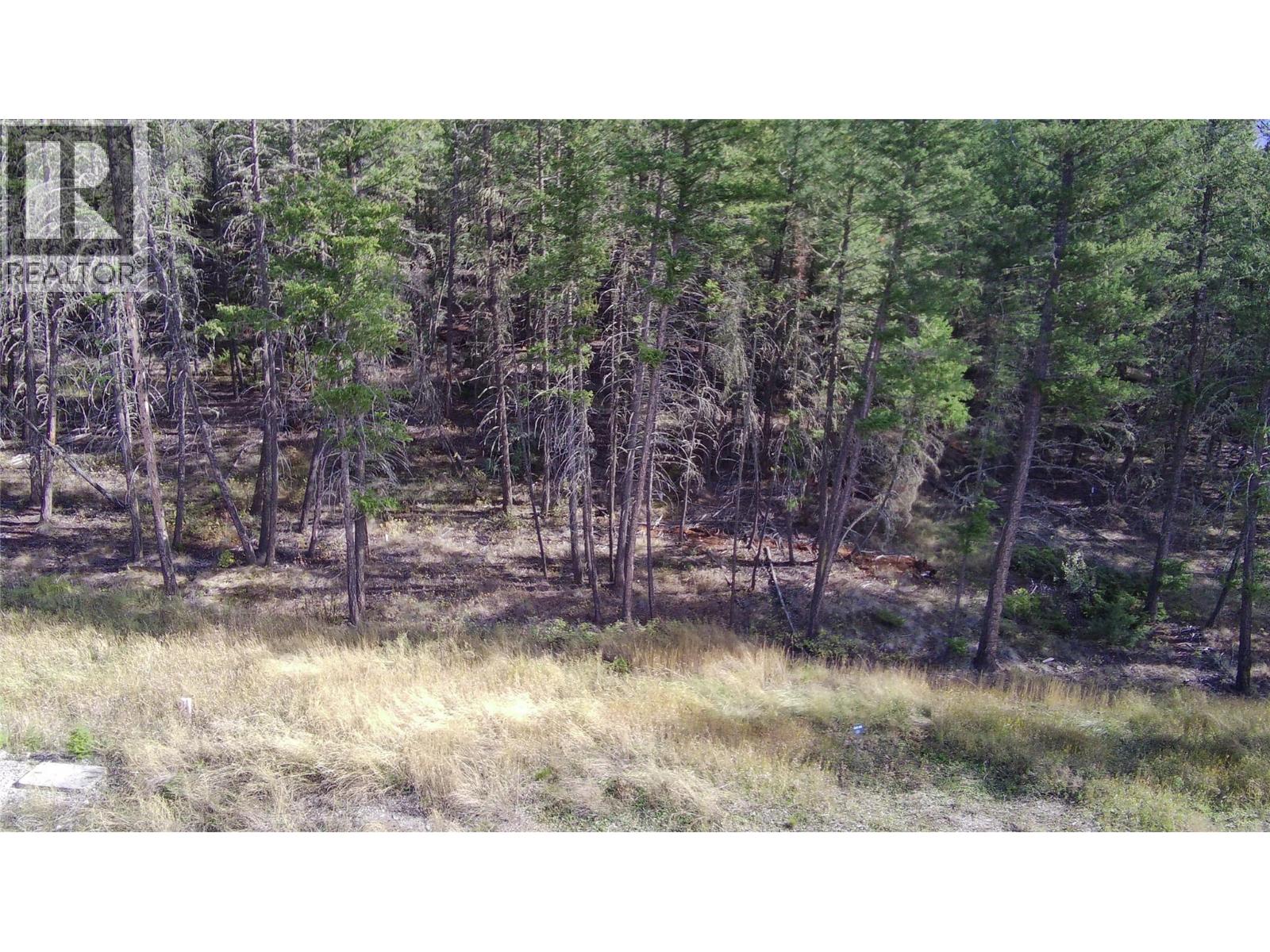  Lot 44 Mountain View Drive, Fairmont Hot Springs - Image 1