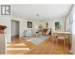 Recreational, Games room - 33 Durham Street, Halton Hills, ON L7G1Z8 Photo 8