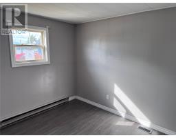 76 Maple Street, Badger, NL A0H1E0 Photo 9