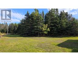 143 Bayview Street thumbnail 5