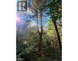 LOT 25-3 Mulligan Road, photo 23