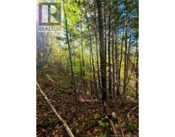 LOT 25-3 Mulligan Road, photo 19