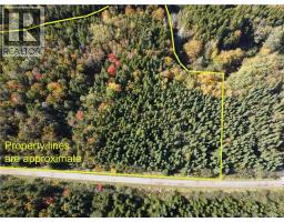 LOT 25-3 Mulligan Road, photo 12