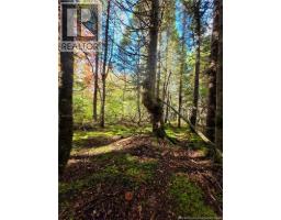 LOT 25-3 Mulligan Road, photo 21
