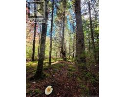 LOT 25-3 Mulligan Road, photo 24
