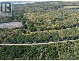 LOT 25-3 Mulligan Road, photo 6