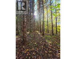 LOT 25-3 Mulligan Road, photo 14