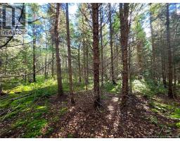 LOT 25-3 Mulligan Road, photo 18