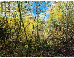 LOT 25-3 Mulligan Road, photo 15