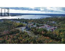 1 William White Boulevard, Lewisporte, NL A0G3A0 Photo 44