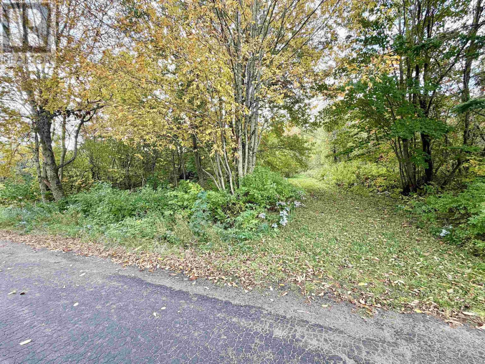 Property photo of 272 Welch Road
