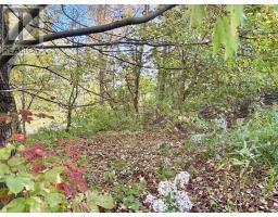 272 Welch Road, Forest Hill, NS B4P2R1 Photo 7