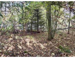272 Welch Road, Forest Hill, NS B4P2R1 Photo 8