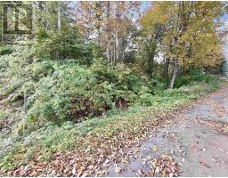272 Welch Road, Forest Hill, NS B4P2R1 Photo 9