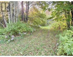 272 Welch Road, Forest Hill, NS B4P2R1 Photo 6