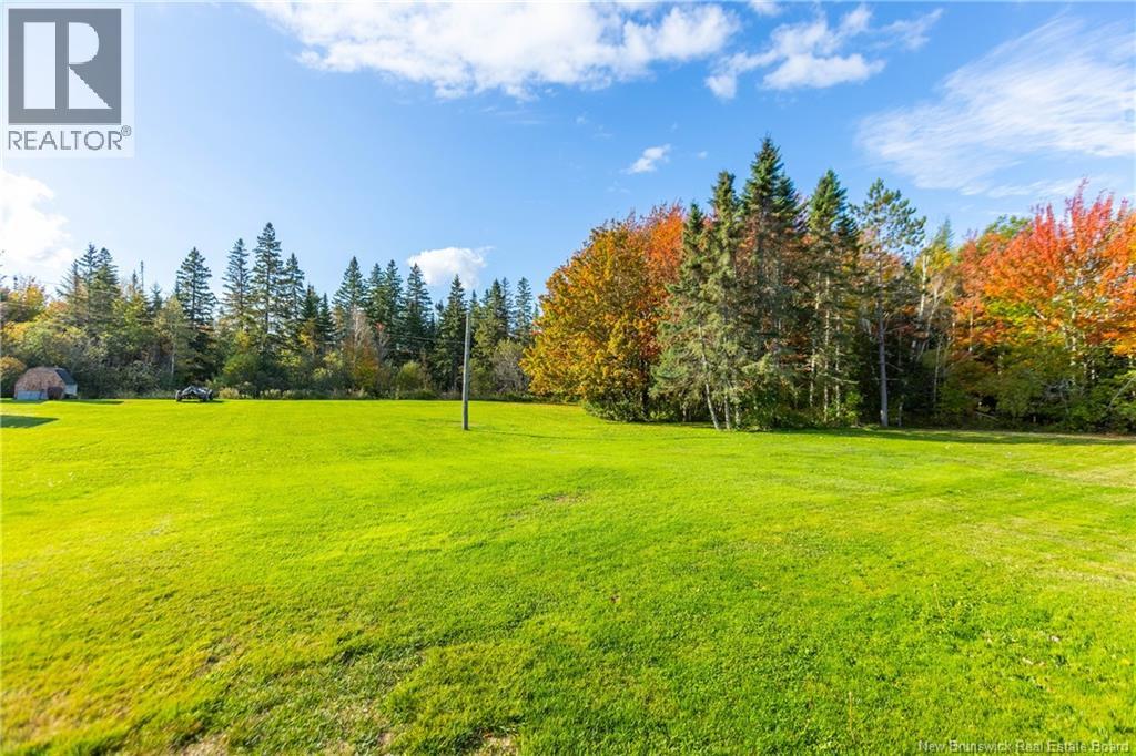 166 Mount View Road - 33