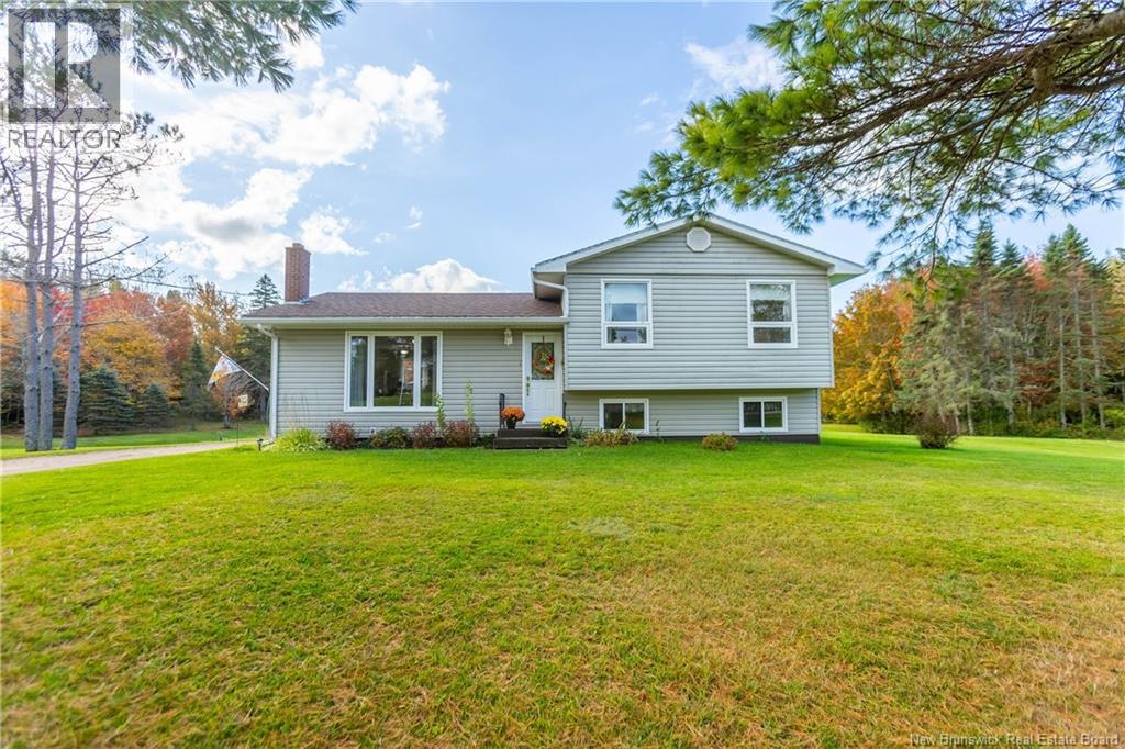 166 Mount View Road - 4