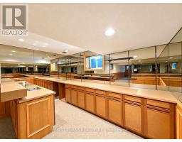 54 Magpie Crescent, Toronto, ON M2L2E5 Photo 38