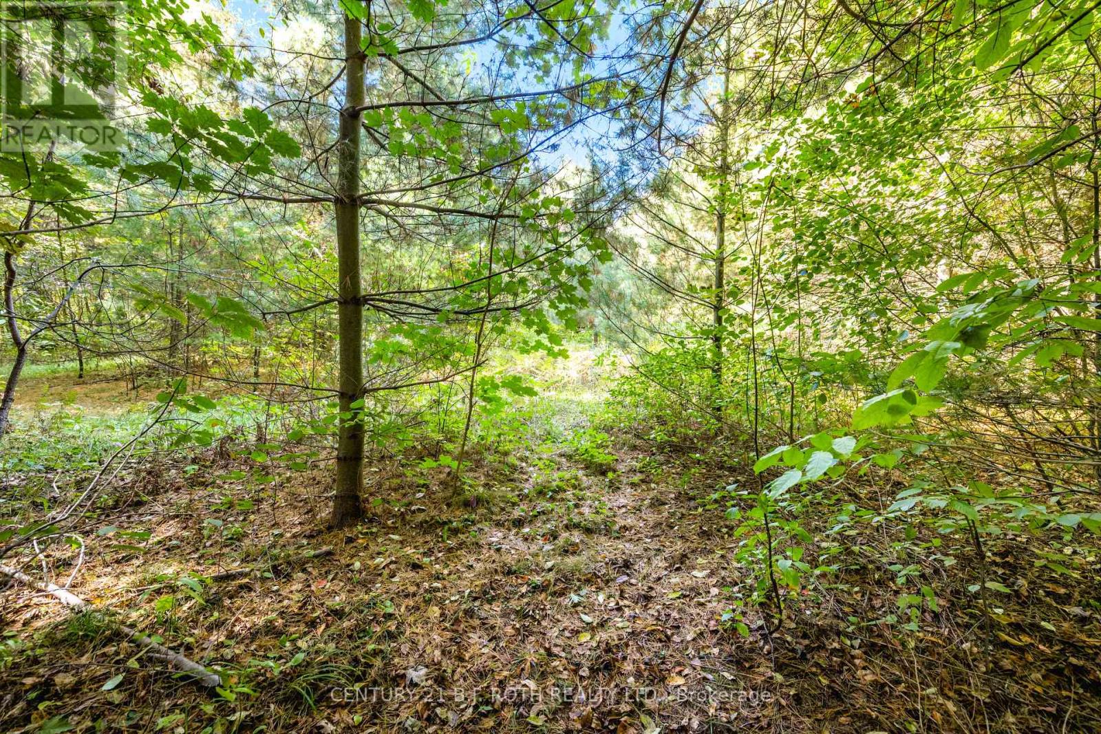 2 Sycamore Circle — photo 44