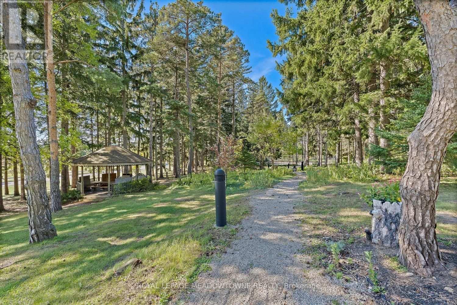 190 Hespeler Road, Cambridge, ON photo 37