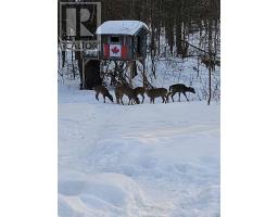 723 County Rd 49 Road, Kawartha Lakes, ON K0M1A0 Photo 37