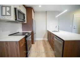 505 - 34 Norman Street, Brantford, ON N3R2Y1 Photo 7