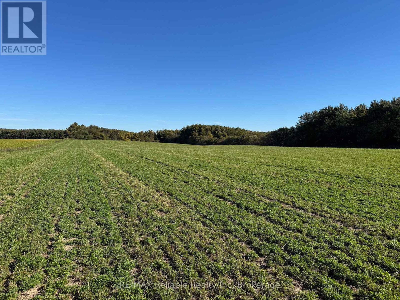 38012 Mill Road — photo 46