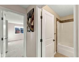 3 Peter St, Spruce Grove, AB T7X0R4 Photo 21