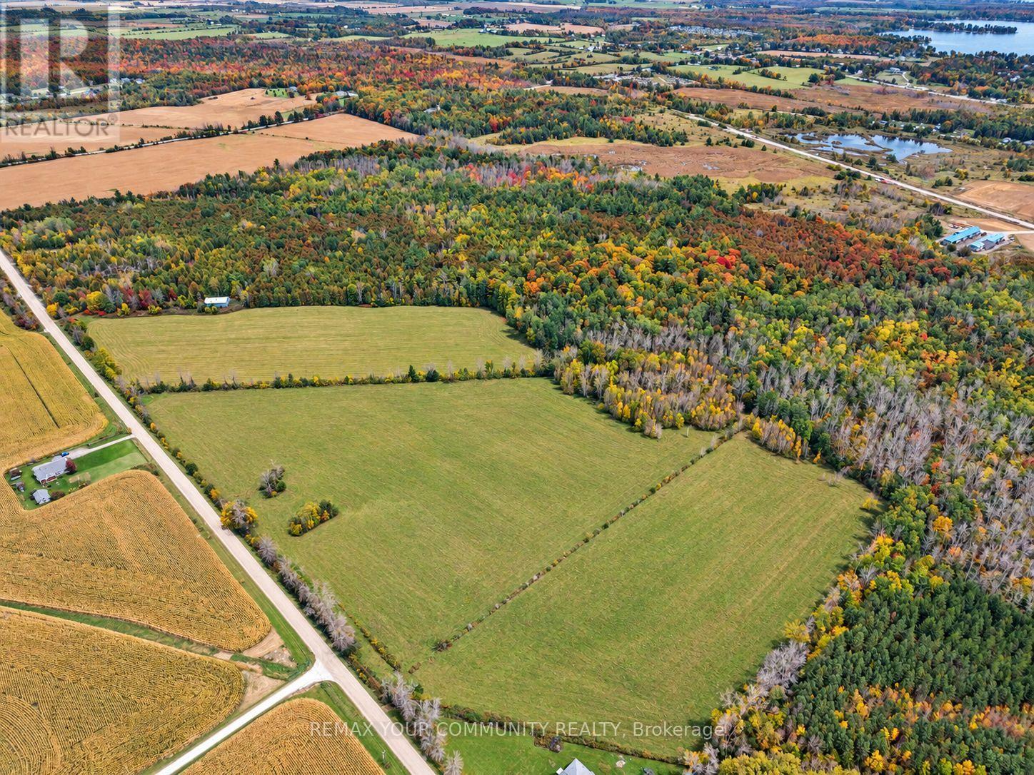 4165 Concession 12 Road — photo 11
