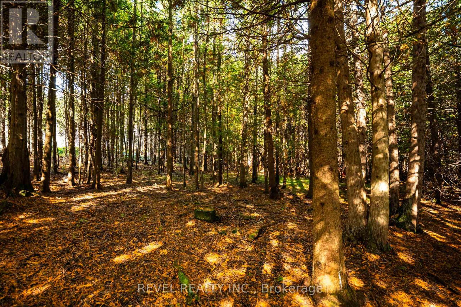 543795 Dutch Line, West Grey, ON photo 9