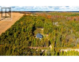 543795 Dutch Line, West Grey, ON N0C1H0 Photo 10
