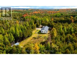 543795 Dutch Line, West Grey, ON N0C1H0 Photo 49