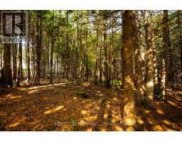 543795 Dutch Line, West Grey, ON N0C1H0 Photo 9