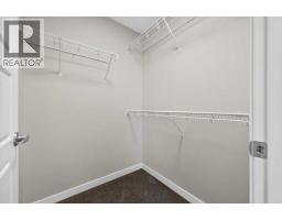 908, 132 Red Embers Link Ne, Calgary, AB T3N2X8 Photo 30