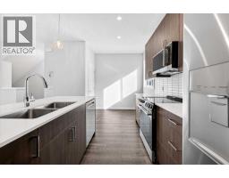 Laundry room - 908, 132 Red Embers Link Ne, Calgary, AB T3N2X8 Photo 12