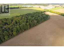 Pt Lt 113 Culloden Road, Bayham, ON N0J1H0 Photo 10
